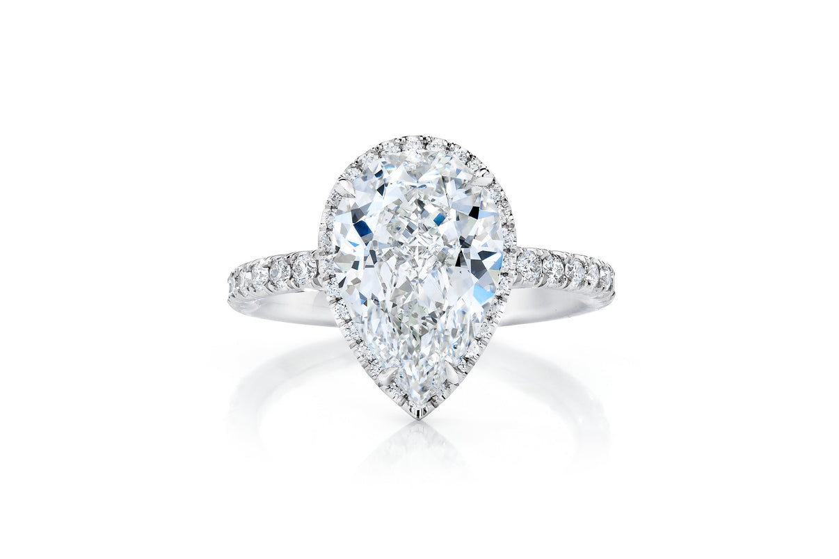 Halo Pear PLT Front 40676591108184