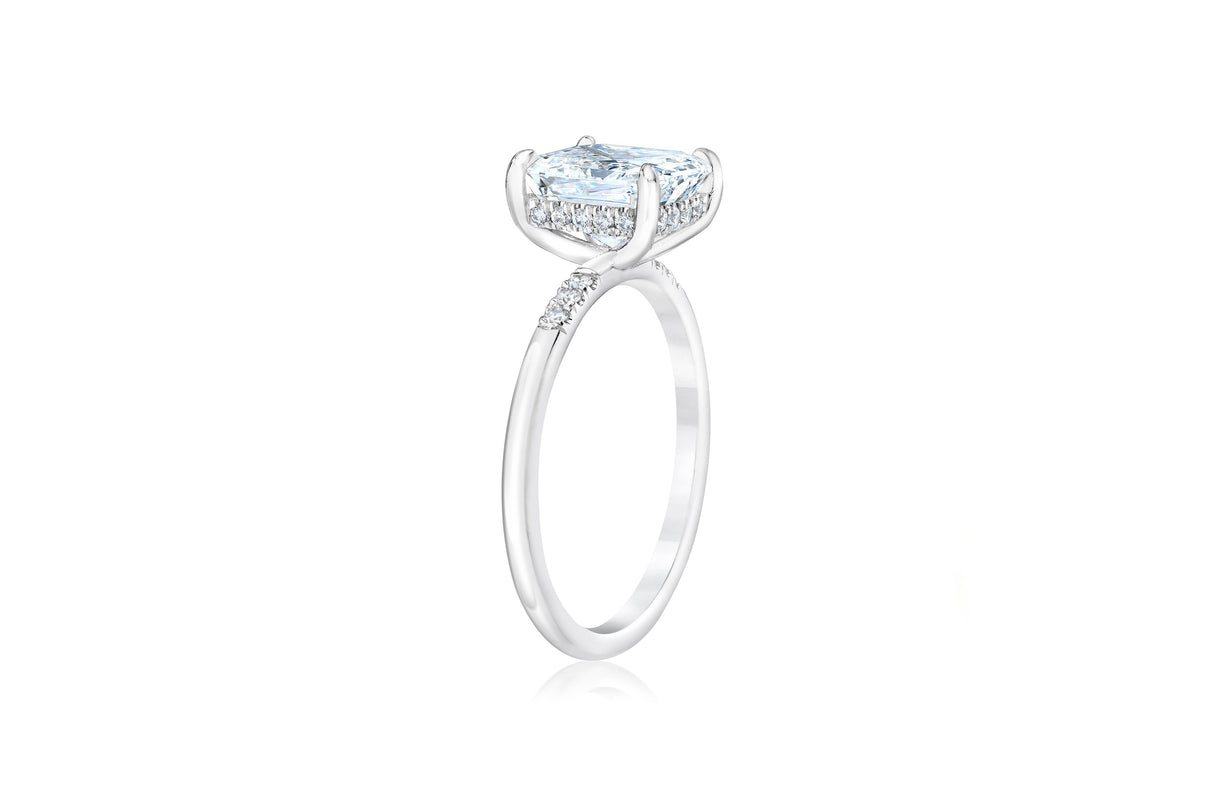 Whisper Thin Trio Radiant PLT + HH 40677658820696