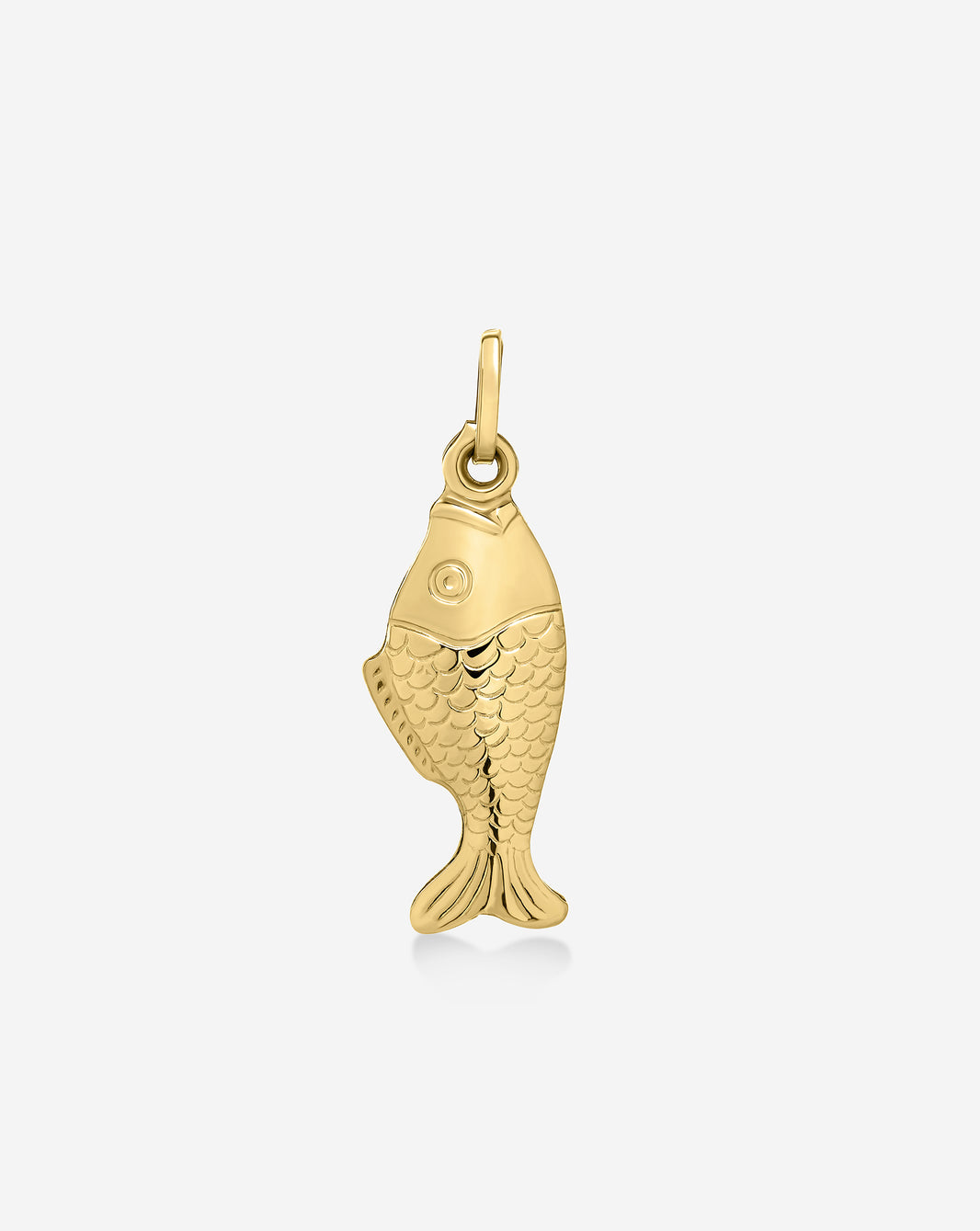 Golden Catch Pendant in 14k hollow gold