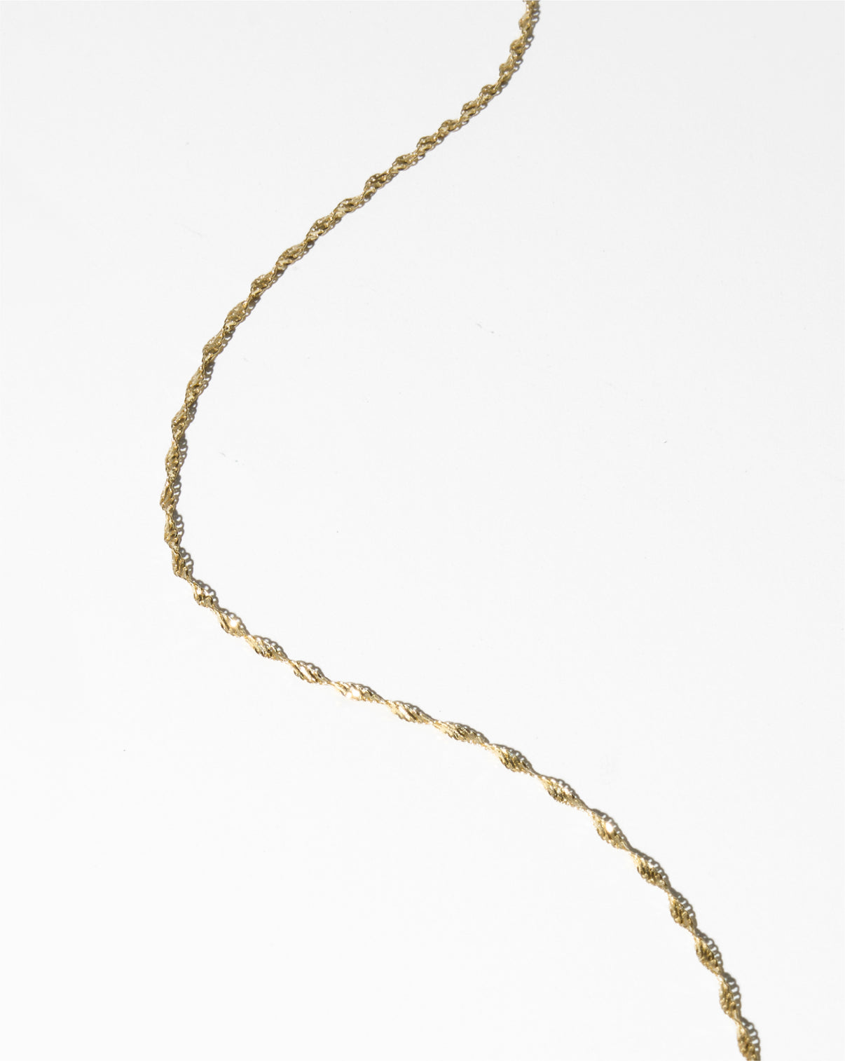 Twisted Dorica Chain Necklace detail shot