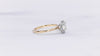 Essex VOW by Ring Concierge round halo engagement ring with plain band in yellow gold.